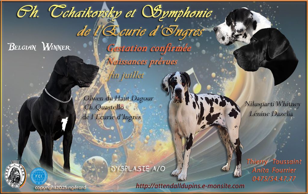 Gestation Symphonie